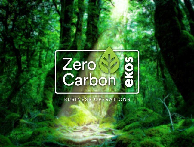 New Zealand goes Zero Carbon